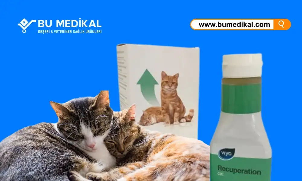 Kedi ve Köpekler İçin Besin Takviyeleri Nedir, Ne İşe Yarar, Nasıl Kullanılır?