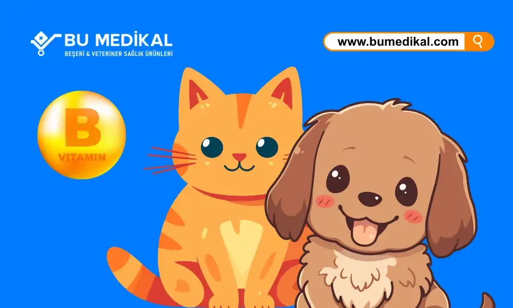  Kedi ve Köpekleriniz İçin B Vitamini- Nedir, Ne İşe Yarar, Nasıl Kullanılır?