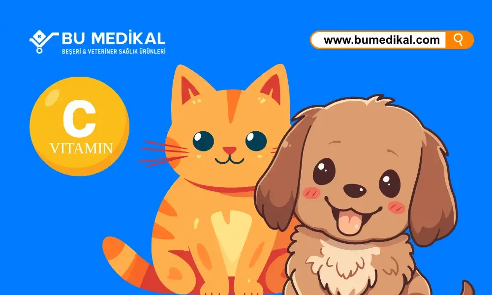 Kedi ve Köpekleriniz İçin C Vitamini - Nedir, Ne İşe Yarar, Nasıl Kullanılır?