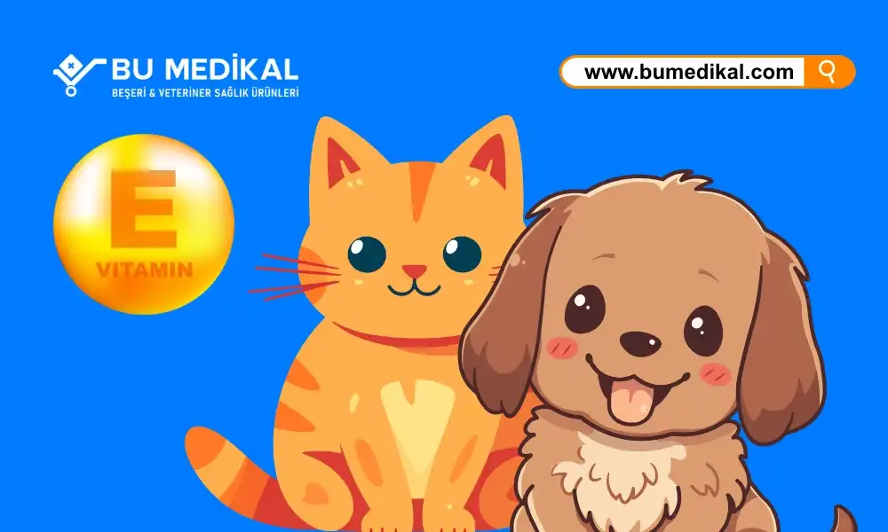 Kedi ve Köpekleriniz İçin E Vitamini - Nedir, Ne İşe Yarar, Nasıl Kullanılır?