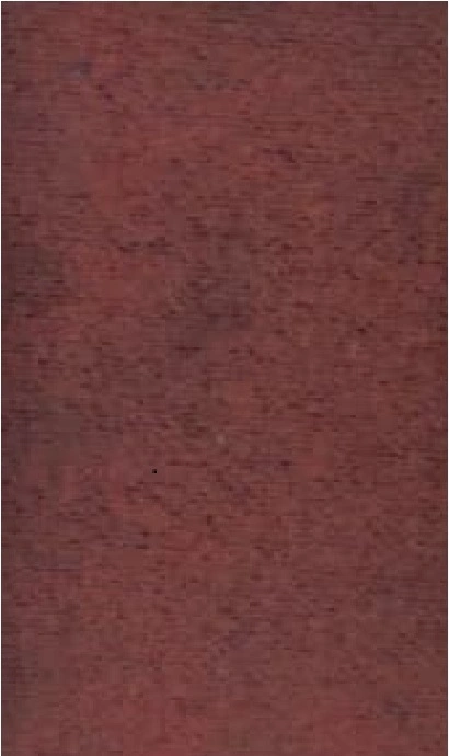 MODAL KAP ÖN & ARKA TOBA TAŞLI - Bordo