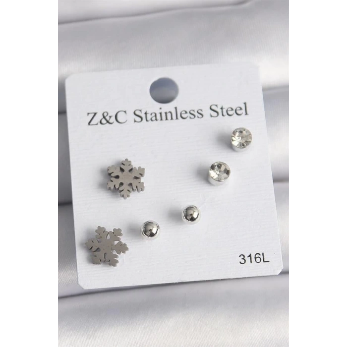 316L Çelik Gümüş Renk Zirkon Taşlı Kar Tanesi Model Kadın Küpe Seti