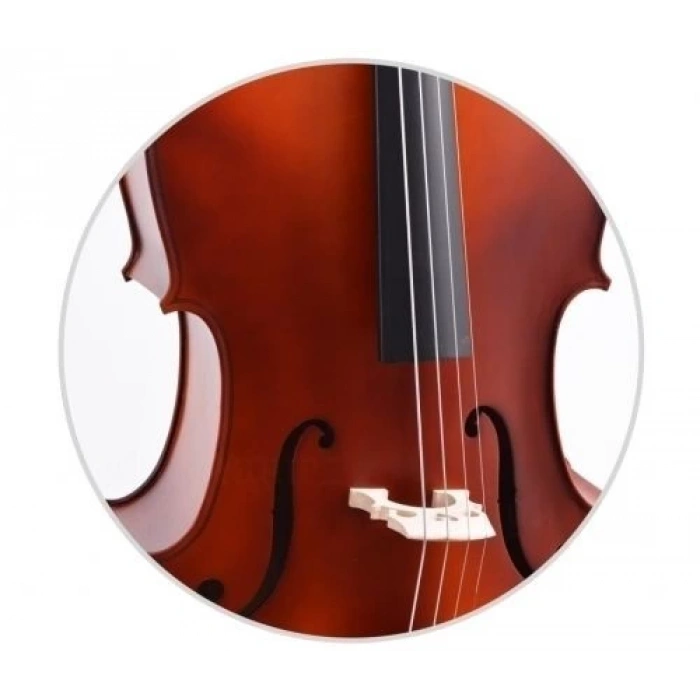 Çello (Viyolonsel) Gül 1/4 DCR14NM