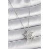 316L Çelik Gümüş Renk Zincir Zirkon Taşlı Yıldız Model Kadın Kolye