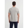 4623 Bisiklet Yaka Basıc Erkek T-Shirt Gri