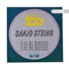 Banjo Takım Tel BJ100