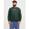 Büyük Beden Erkek Sweatshirt