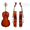 Çello (Viyolonsel) Gül 1/4 DCR14NM
