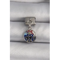 316L Çelik Gümüş Renk Sallantı Dünya Model Nomination Charm