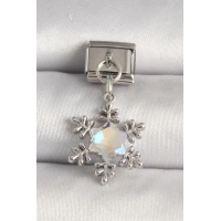 316L Çelik Gümüş Renk Zirkon Taşlı Kar Tanesi Model Nomination Charm
