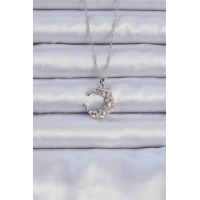 316L Çelik Zincir Gümüş Renk Zirkon Taşlı Ay Kolye