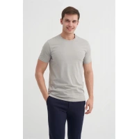 4623 Bisiklet Yaka Basıc Erkek T-Shirt Gri