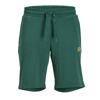 Jogger Fıt Rahat Kesım Şort