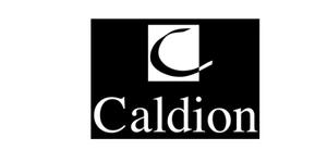 Caldion