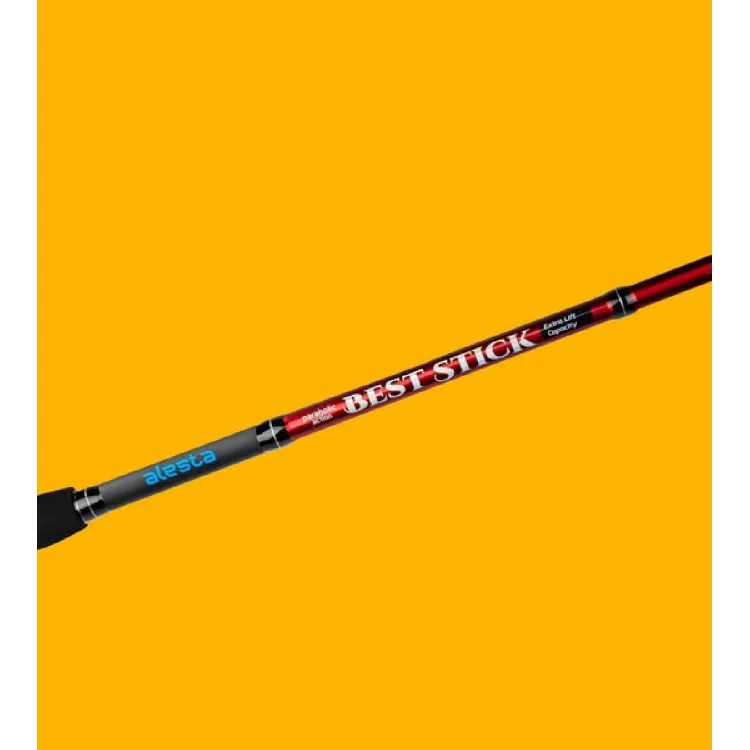 Alesta Best Stıck 240 Cm 10-30Gr 2Pc Spin Kamış