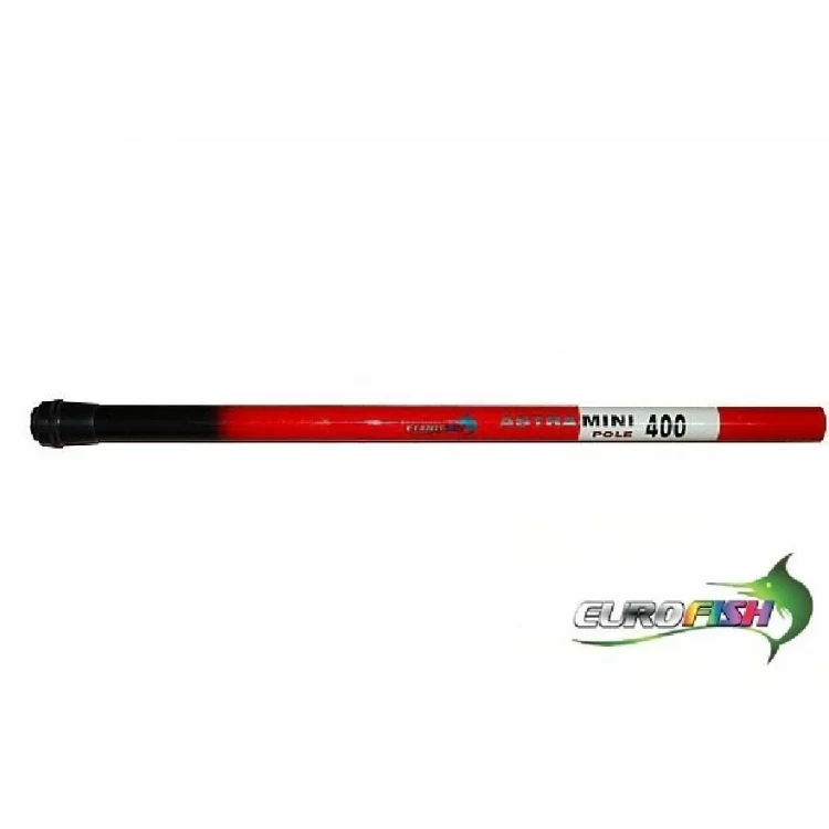 Göl Kamışı Mini Halkasız Eurofish Marka 4 Metre