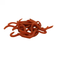 Oskar Solucan Yem Kan Kokulu 10lu Kutu 9cm İnce