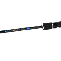 Shimano Bassterra Spin Sea Bass 2,74M 12-38Gr