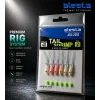 ALESTA TAIL SHRIMP RIG X0284 6 KÖSTEK HAZIR TAKIM 0.30MM NO:6 İĞNE