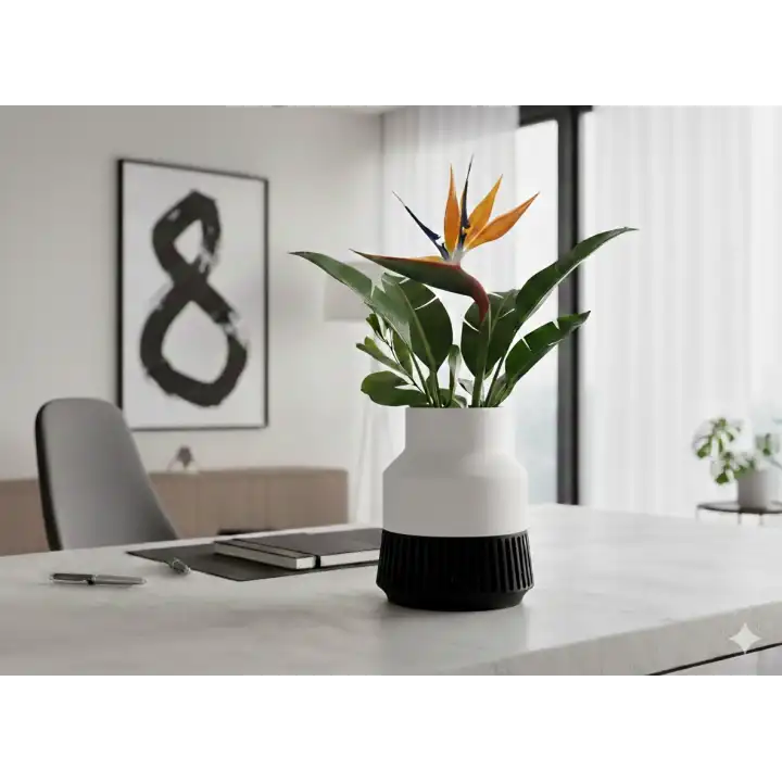 Nexus Dekoratif Vazo