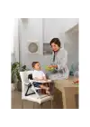Chicco Chairy Yükseltici Mama Sandalyesi - Laydbug
