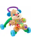 Fisher Price Eğitici Köpekçik Yürüteç Türkçe FTG10