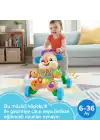 Fisher Price Eğitici Köpekçik Yürüteç Türkçe FTG10