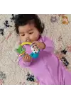 Fisher Price Eğlenceli Dostlar Çıngıraklı Dişlik - Makaralı Tembel Hayvan HJW11-HKD70