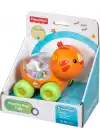 Fisher Price Poppity Araçlar -Turuncu Aslan CMV97