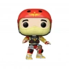 Funko POP Figür Movies The Flash Barry Allen (Prototip Kostümlü)