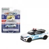 Greenlight 1/64 Hot Pursuit Series 45- 2022 Ford Mustang Mach-E