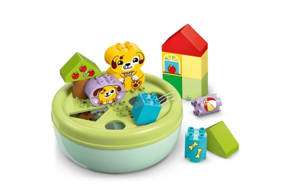 LEGO DUPLO İlk Şekil Ayırıcı: Köpek Evi 10441