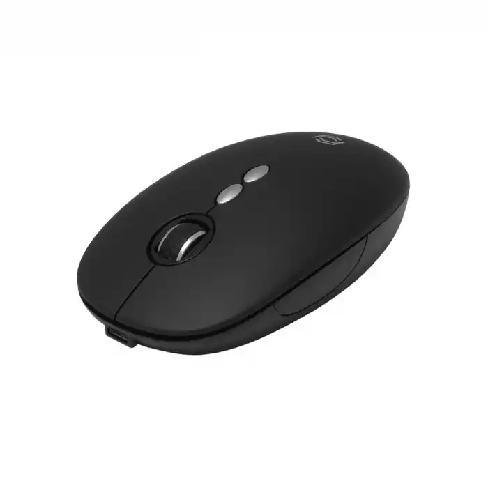 FRISBY FM-256WM KABLOSUZ MOUSE SİYAH