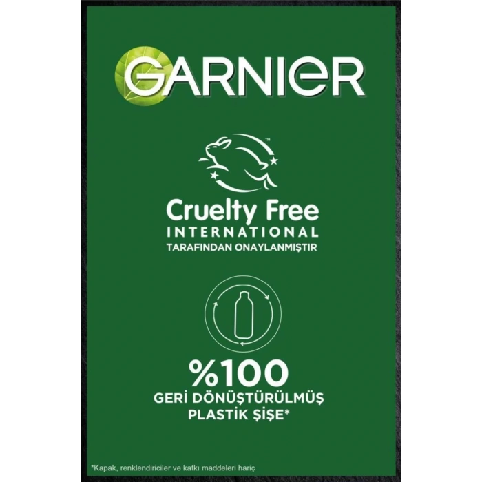 Garnier Micellar Kömür Kusursuz Makyaj Temizleyici Jel 400 ml