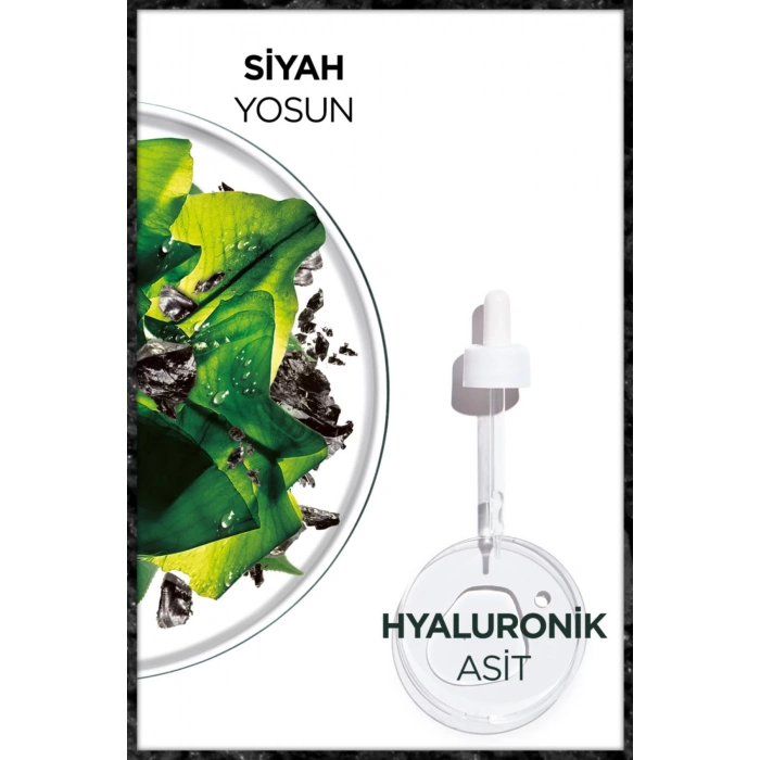 Garnier Skin Naturals Kömürlü Kağıt Yüz Maskesi Siyah Yosun