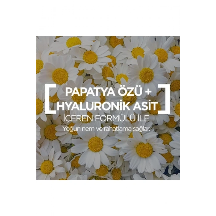 Garnier Nem Bombası Dinlendirici Kağıt Yüz Maskesi