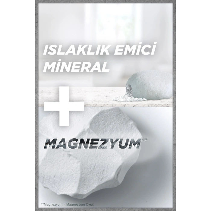 Garnier 3lü Men Magnezyum Ultra Kuru Roll-on Erkek