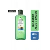 Herbal Essences Aloe Gücü Bambu Sülfatsız Şampuan 380 ml