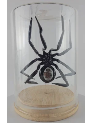 Benim Cam Atölyem Murano Fanus Örümcek Biblo