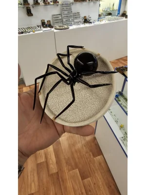 Benim Cam Atölyem Seramik Ve Murano Örümcek Tablo