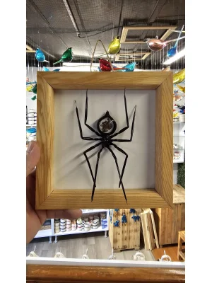 Benim Cam Atölyem Yıldız Taşı İşlemeli Murano Örümcek Tablo