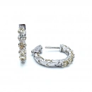 3mm Mozanit Halka Küpe