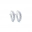 5mm 2,5cm Tamtur Halka Küpe