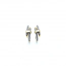 Shiny Taşlı Plaka Küpe