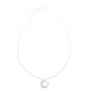 Taşlı Ayyıldız Kolye