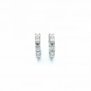 4mm Prenses Mozanit Tamtur Halka Küpe