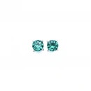 Alex Mint Tektaş Küpe