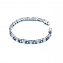 Blue Diamond Prenses Suyolu