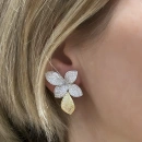 Bruno Taşlı Flower Leaf Gold Küpe