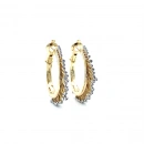 Dottie Oval Halka Çift Renk Küpe